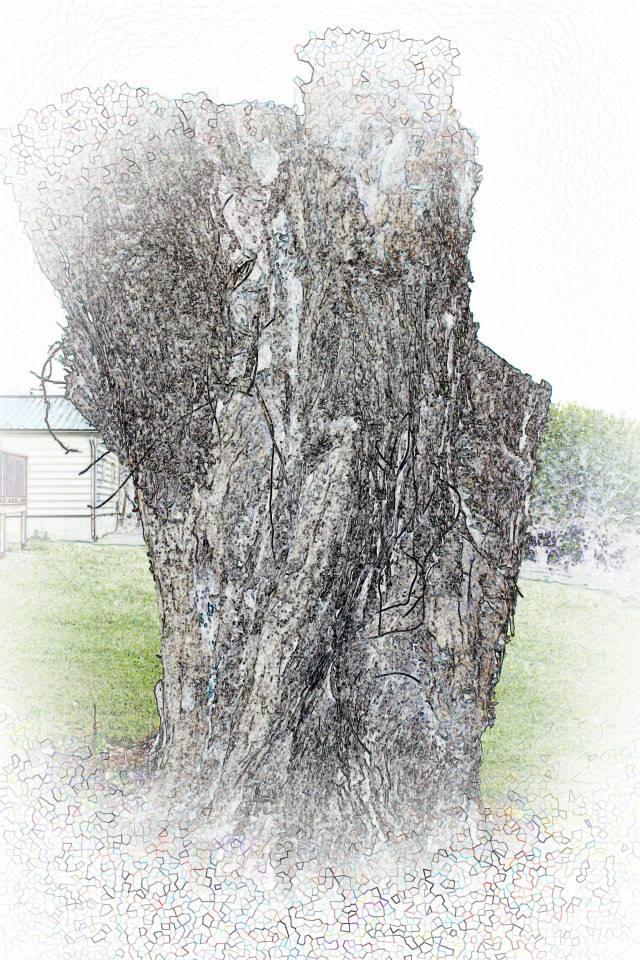 Erma Shirk's album, Playing with the Camera