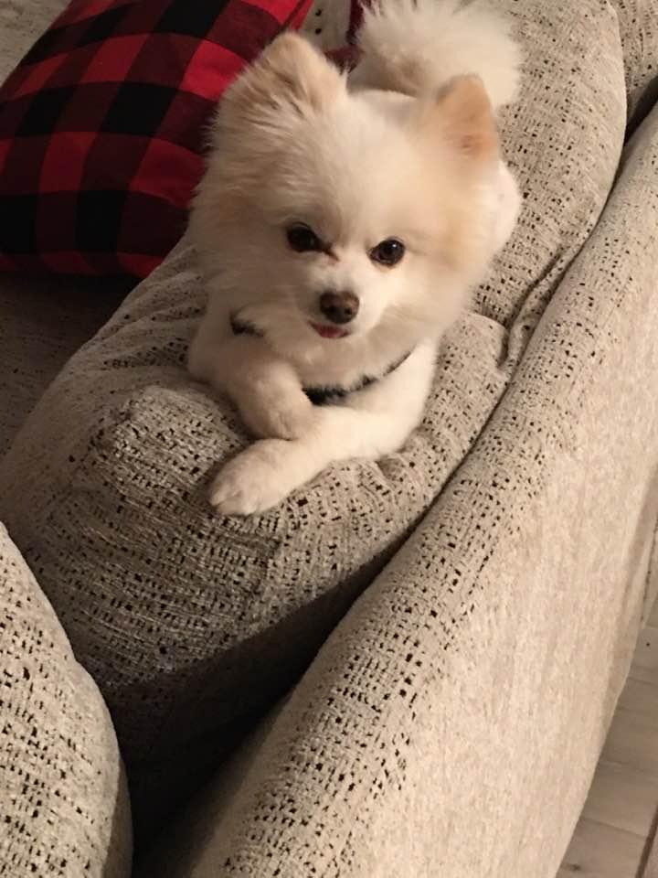 Simon is waiting for his Christmas present!