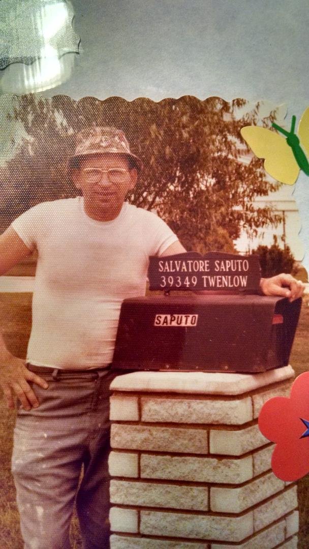 Fara Saputo's album, Mobile Uploads