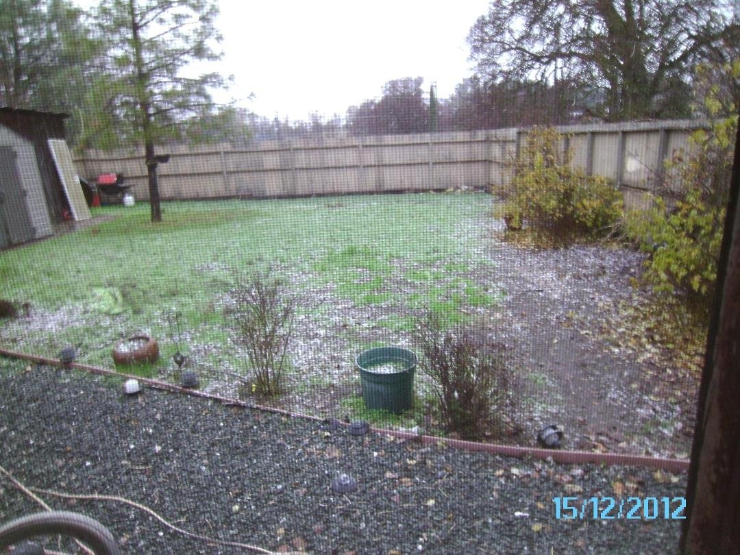 We are getting our xmas snow a week early