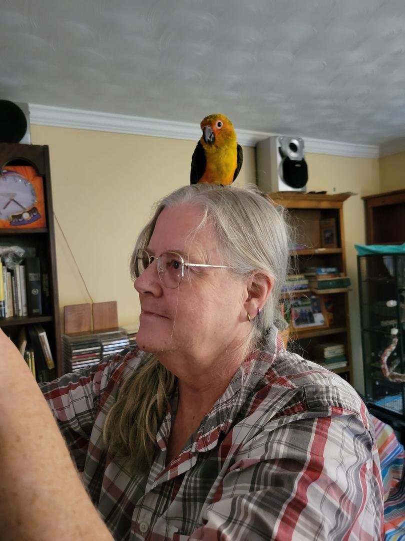 Babybird tries a new perch...