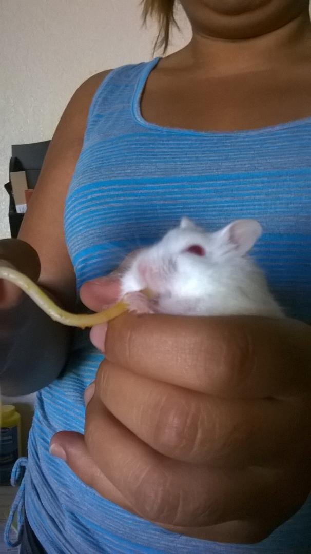 Some one else loves spaghetti to for breakfast...
