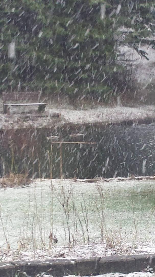 More winter Uggg! Guess I will just watch baseball in Fla and think warm thoughts