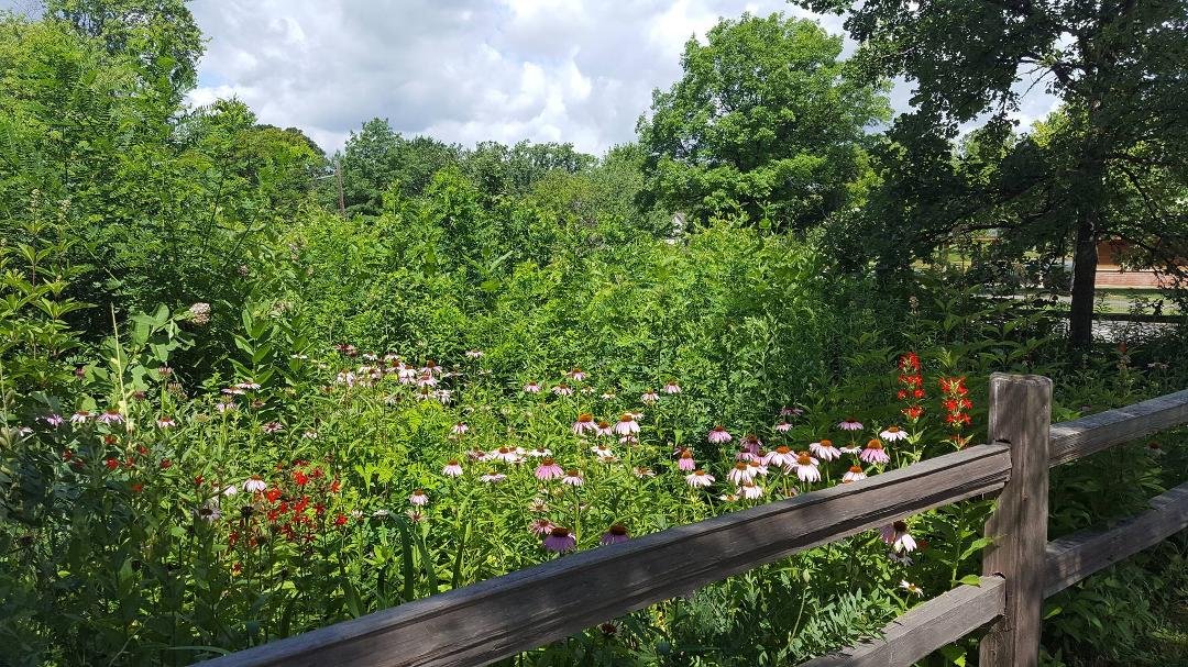 Ann Wallace   (Evers)'s album, Timeline Photos