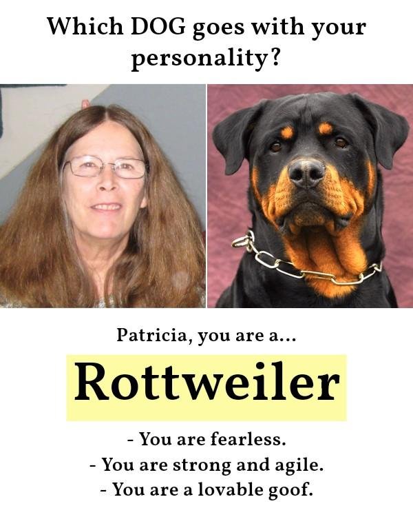 Patricia Baker's album, Timeline photos