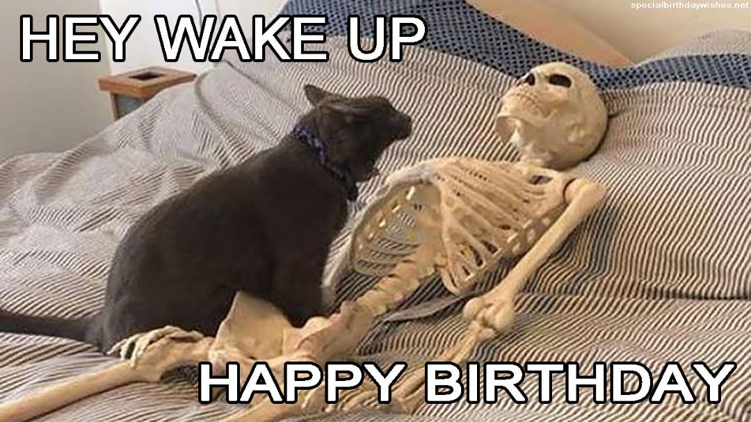HaPpY Birthday Mandy Boen Wooten! Where's the nine lives.