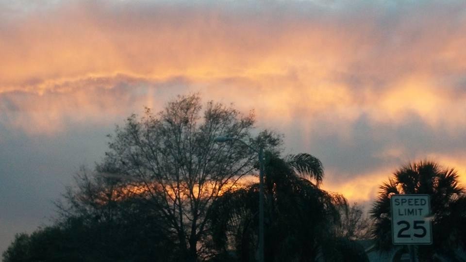 David Baugh's album, Mobile Uploads