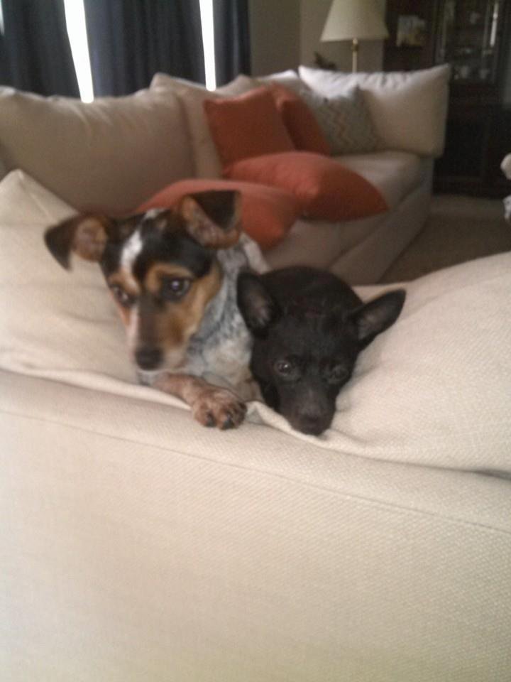 If Gary wants to take one of them next time he will have to take them both