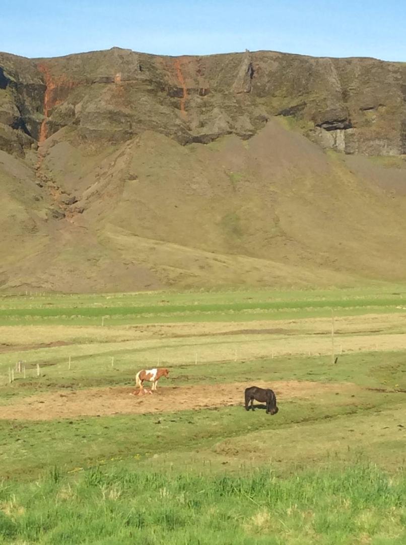 Last day in this beautiful land. Time to head home. So long Iceland.