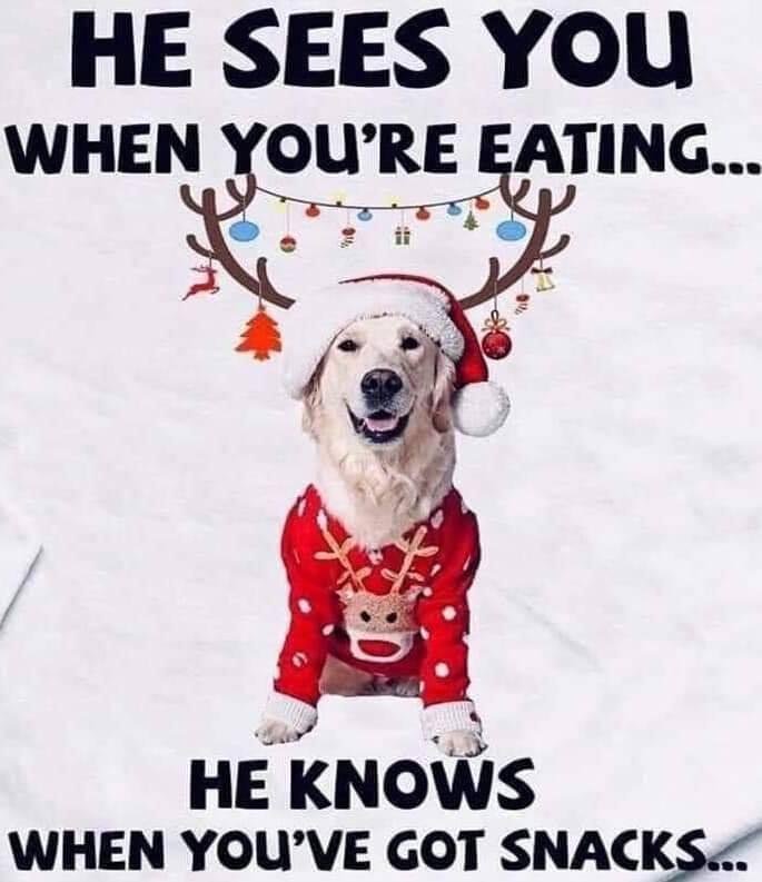 Otto says, "Merry Christmas to friends and family"