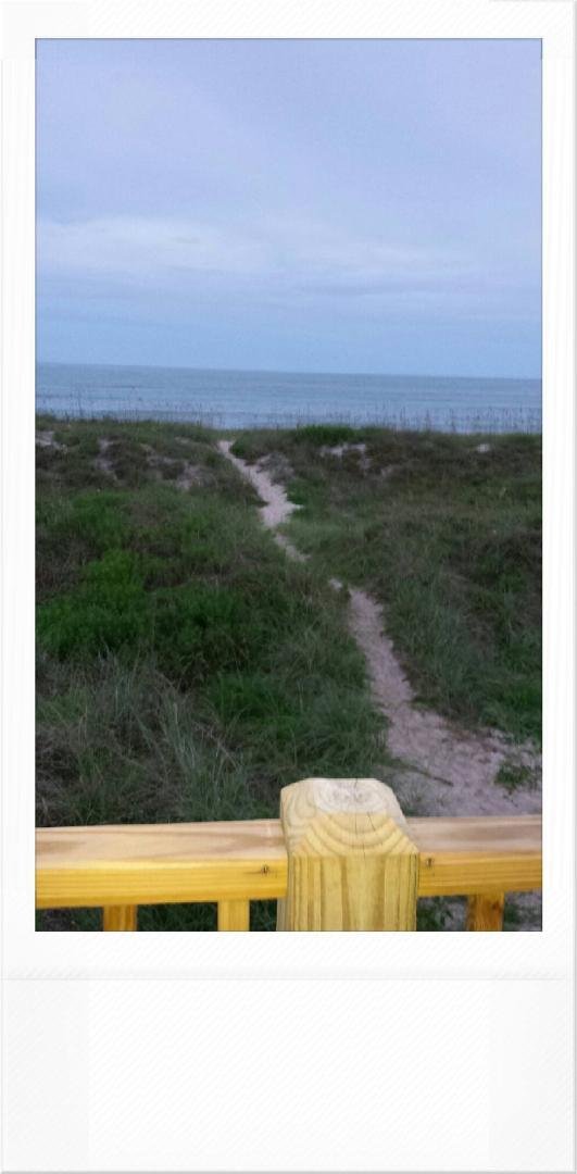 View from back porch of our beach house on Atlantic Beach NC. So excited to be here for a week. So beautiful...