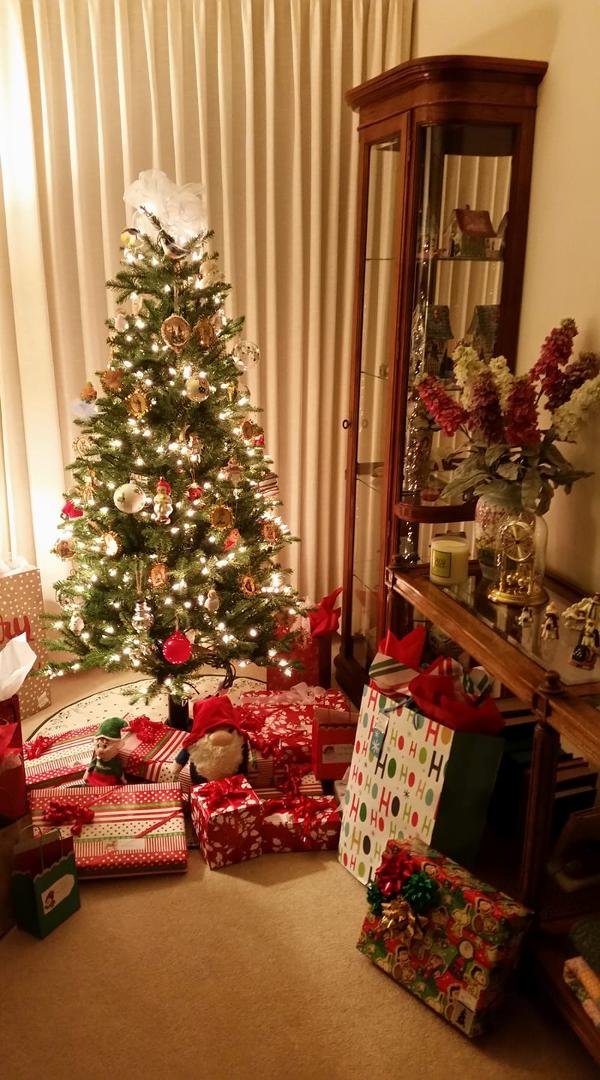 Merry Christmas from our little family to yours!