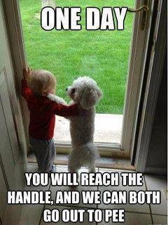 I remember this I think I was 7 when I could finlly reach the door knob. such a bladder i had
