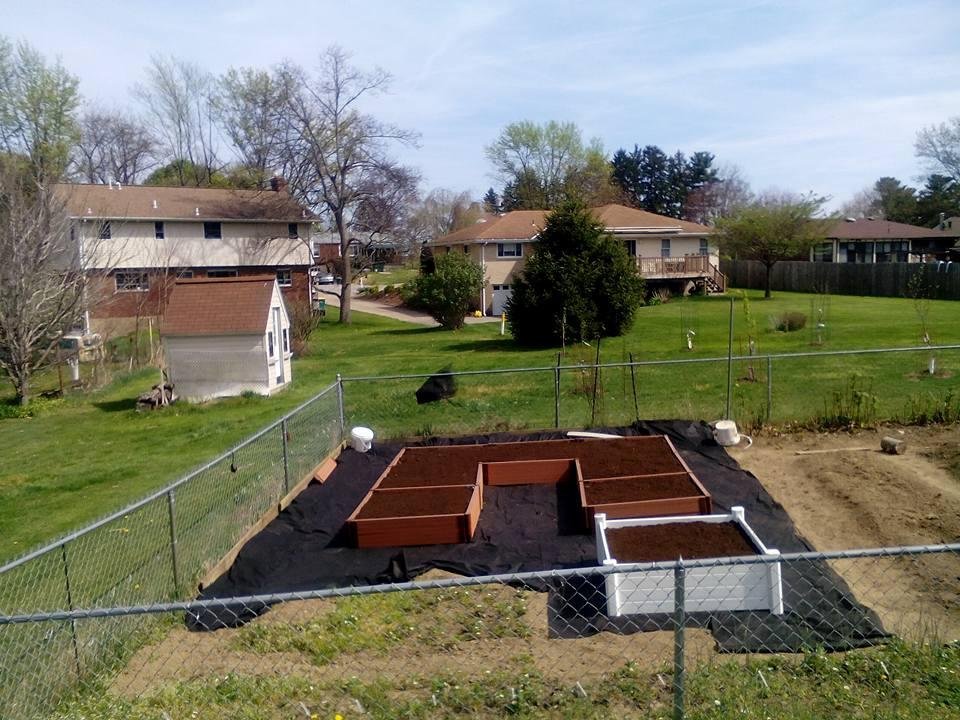 Time to plant in the raised beds !!!