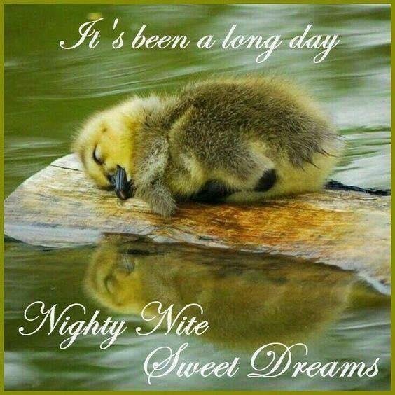 Good night all