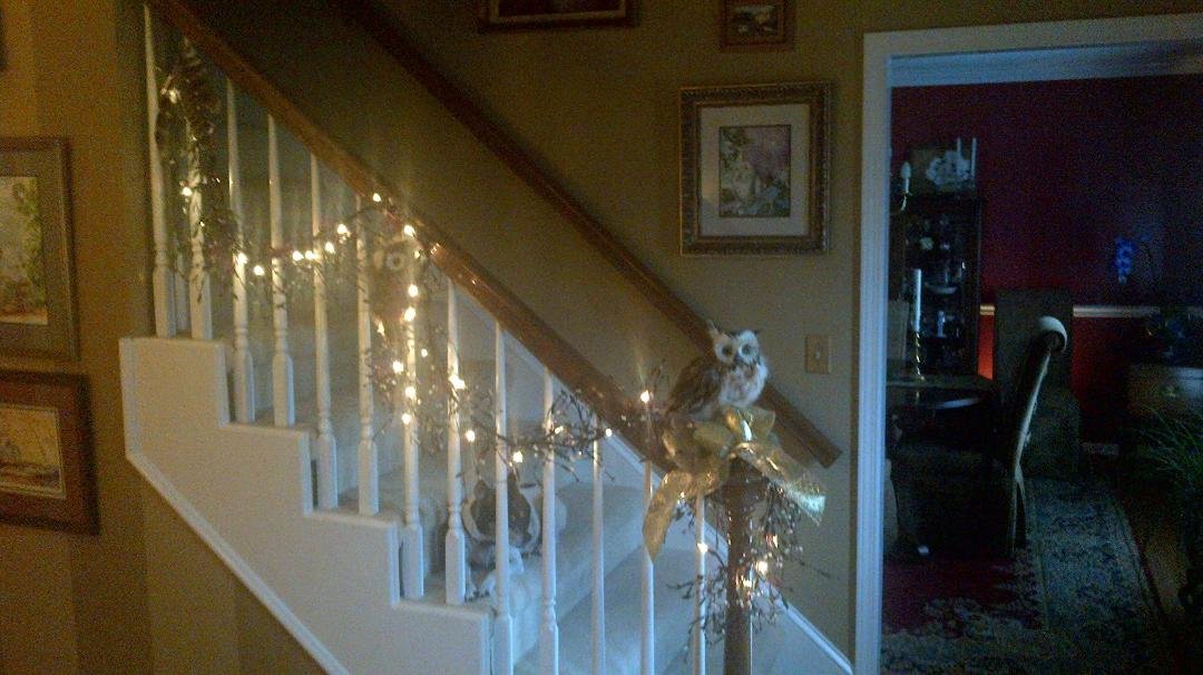 Christmas Owl ?????????