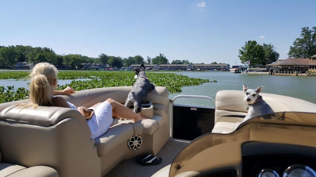 Beautiful day for a boat ride