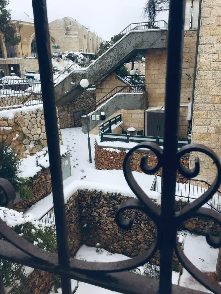 7am from a window.