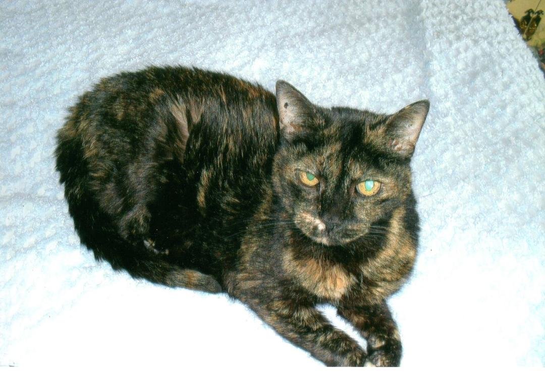 Mariposa is now 18 and a half.