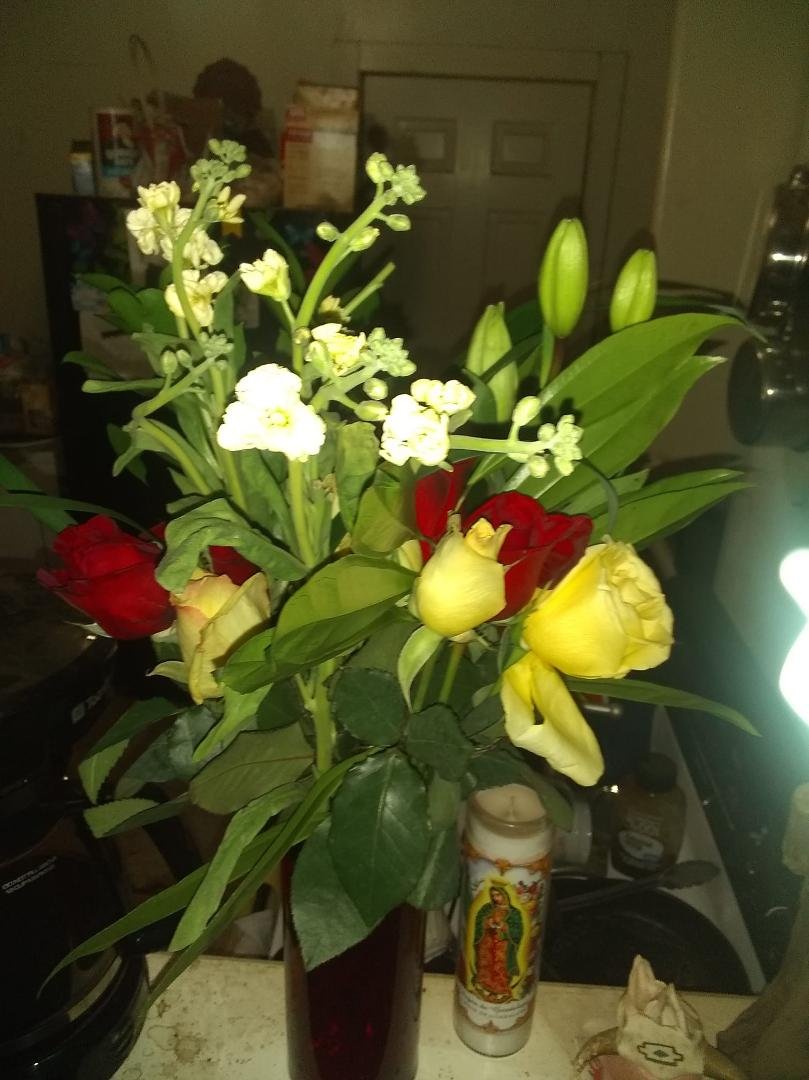 My beautiful flowers my daughter Crystal Delgado and family got me.
I love them.