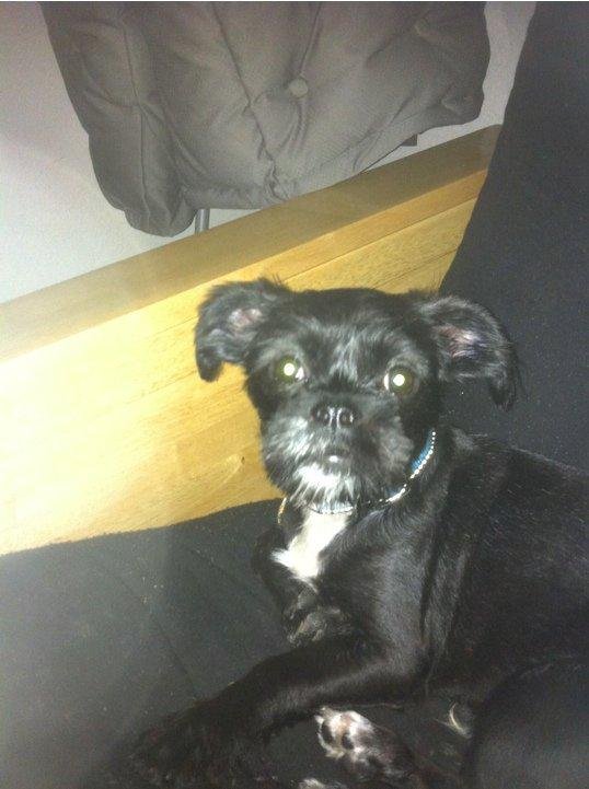 Astro at his finest