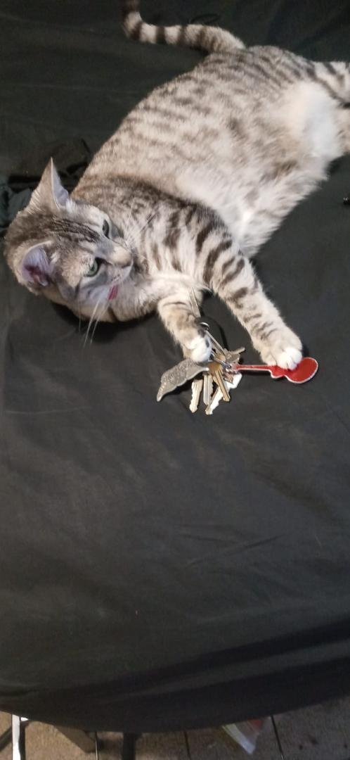 And those are my keys