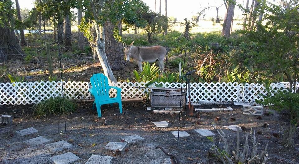 Robichaud Robichaud's album, Timeline Photos