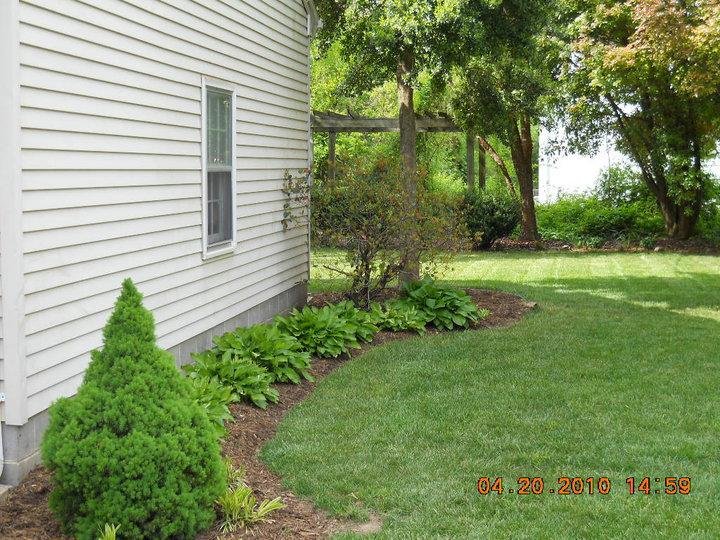 side yard