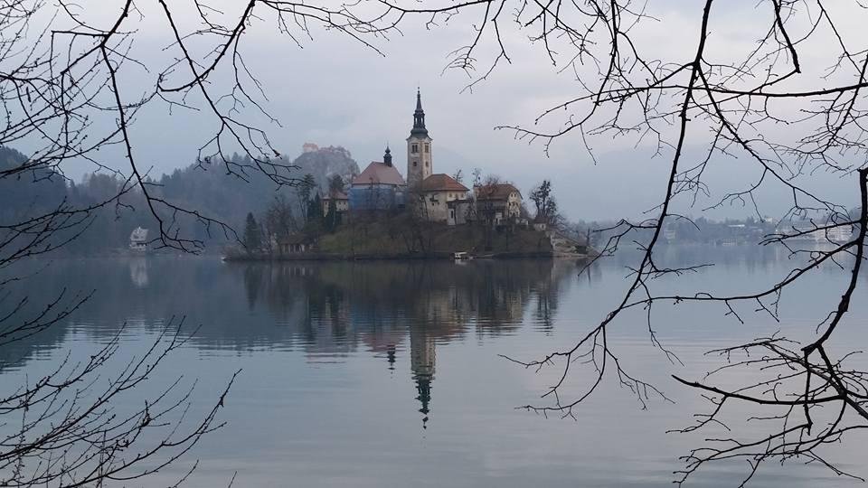 Ralph Proctor's album, Timeline Photos