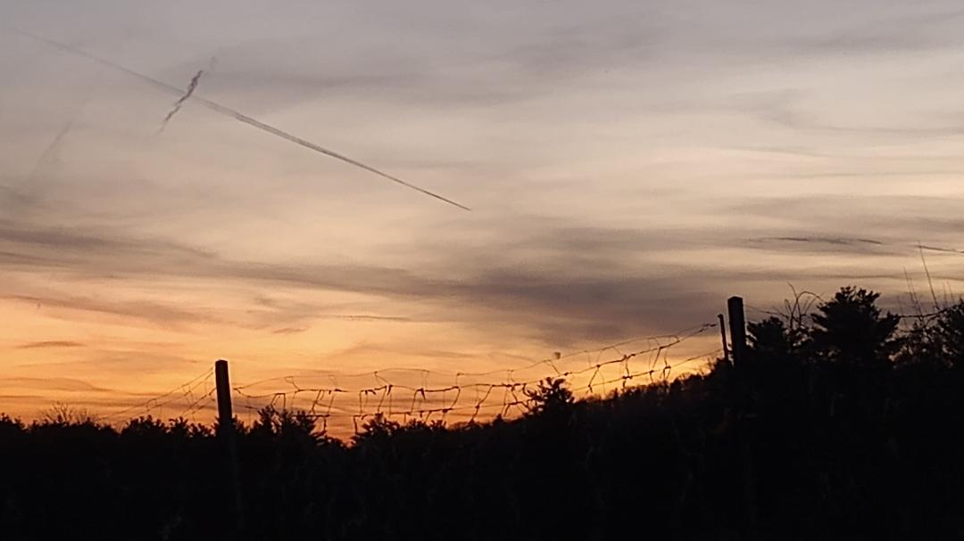 Thomas Small's album, Timeline photos