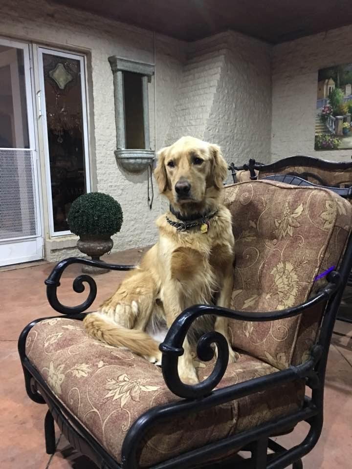 Sweet boy taking in the conversation at book club!