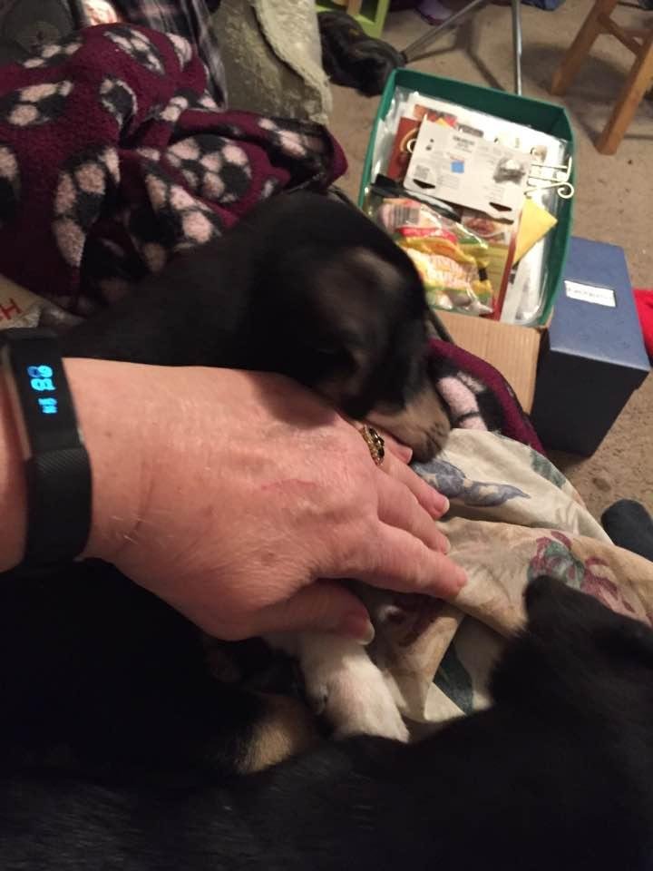 Patsy Brasher's album, Timeline Photos