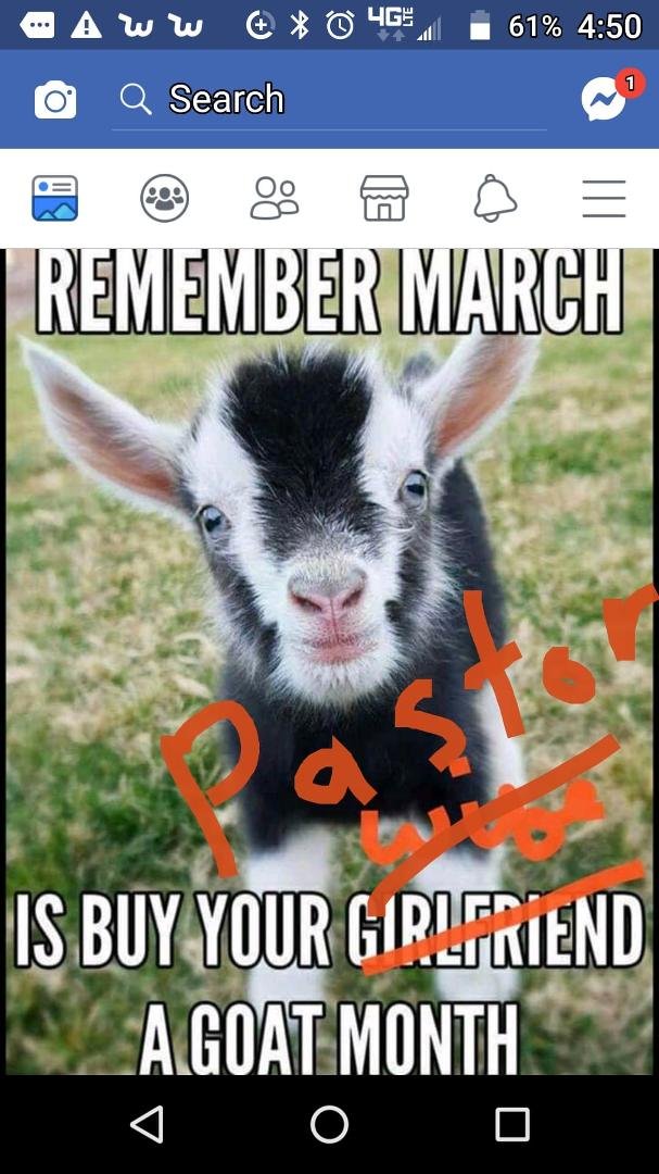 Danice Kolasa's album, Timeline photos