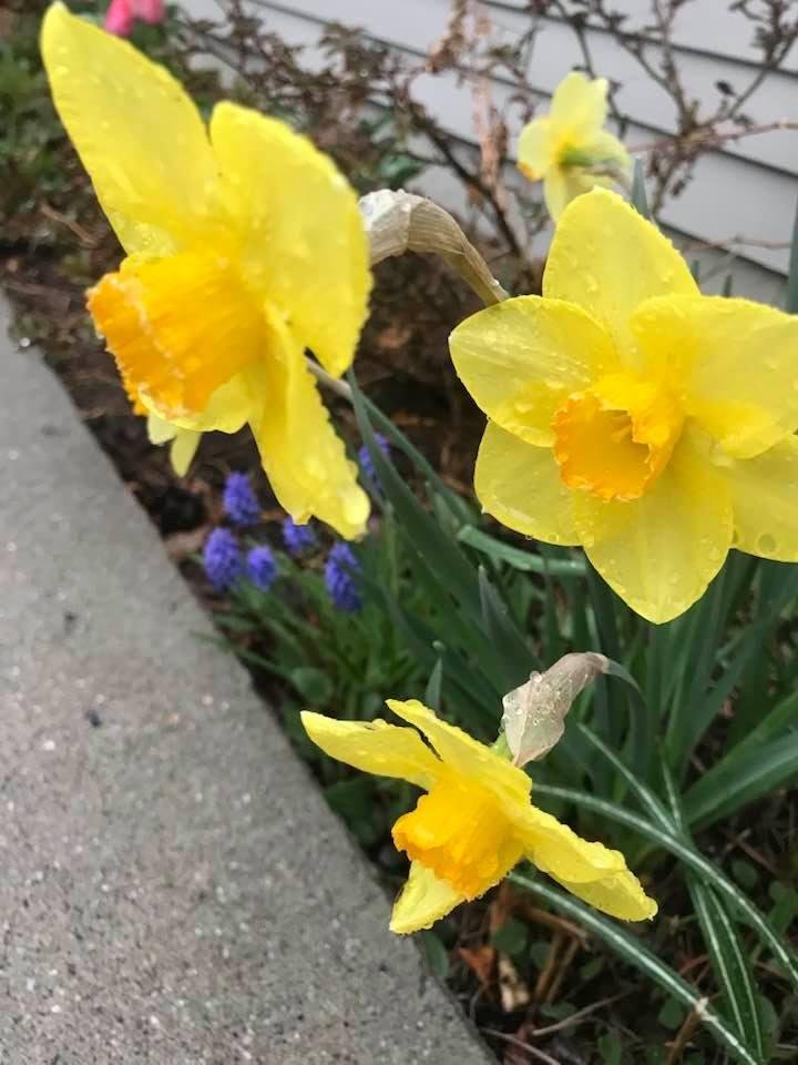 Nancy Blatz's album, Timeline Photos