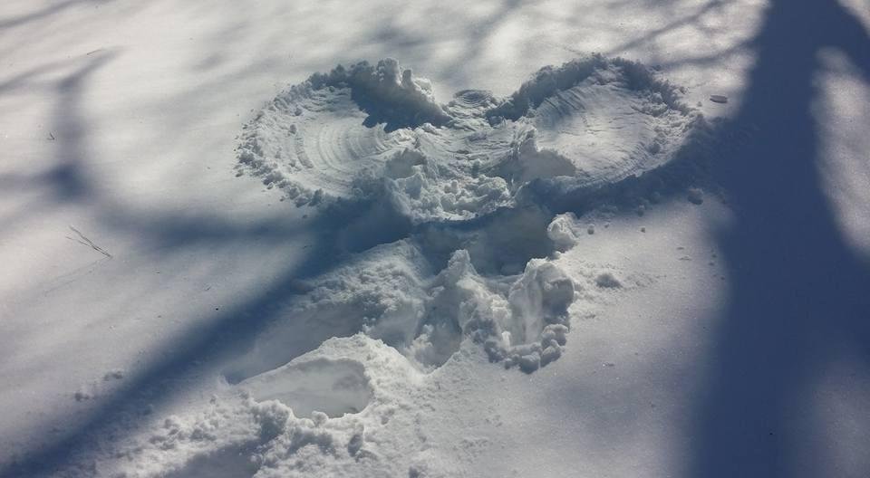 Guess what Gram doesn't act her age? Making snow angels!