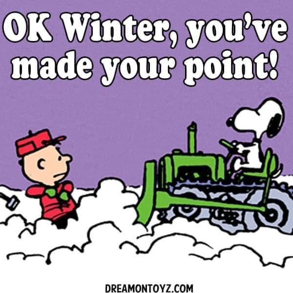 Michael Mann's album, Timeline Photos
