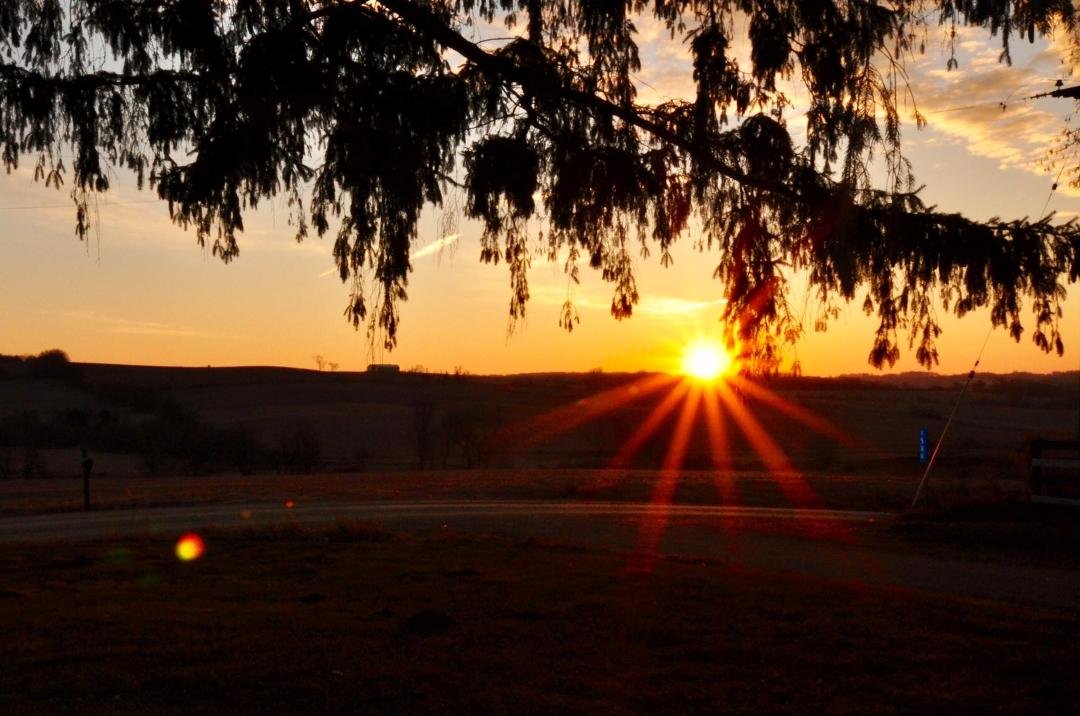 Christmas Eve morning sunrise at our farm. I am so very grateful for all my family and friends and for all this beautiful world has to offer. Merry Christmas everyone!