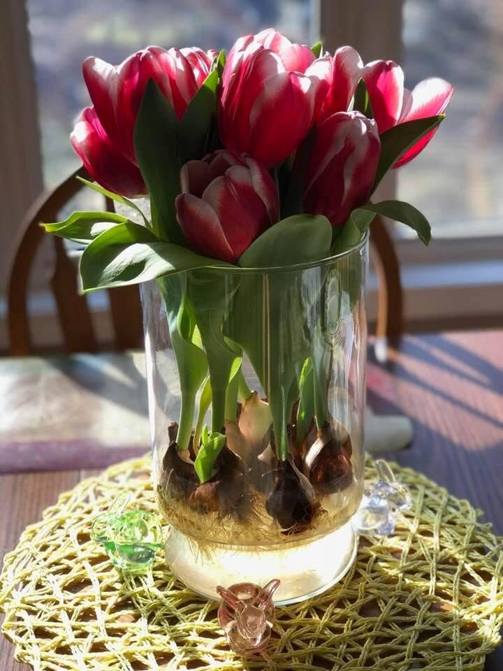 My little touch of spring.