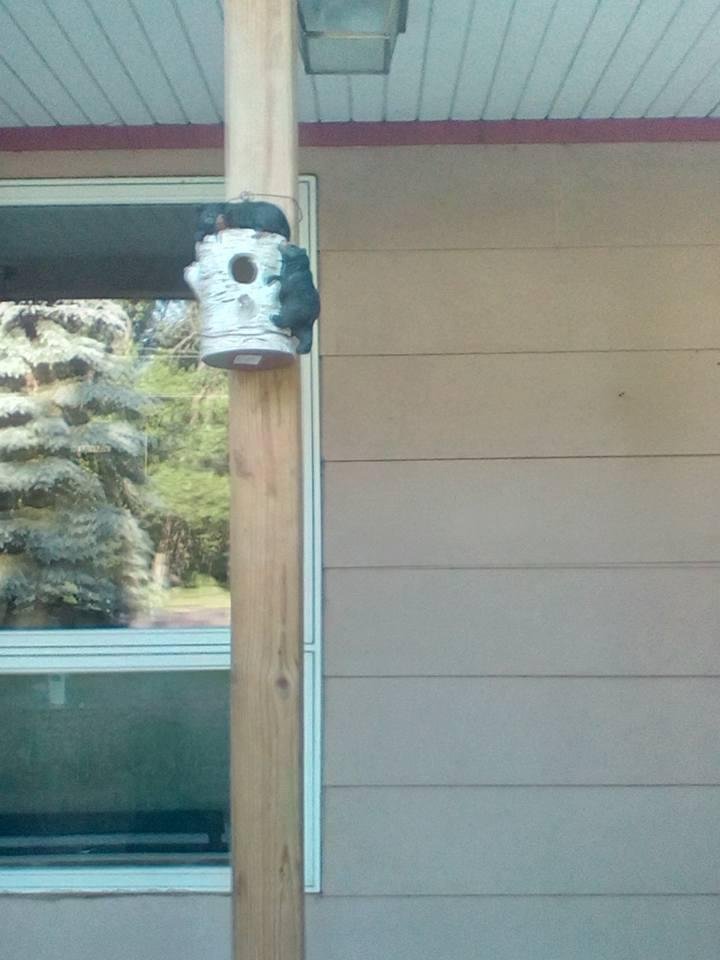Nancy Prellwitz's album, Mobile uploads