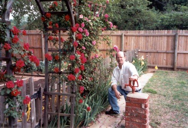 The climbing rose trellis at the entrace to the garden