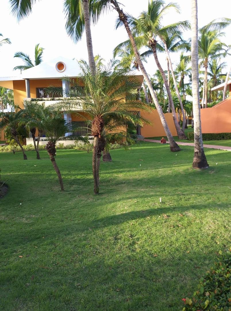 Last day in punta cana gotta go home and go camping with friends