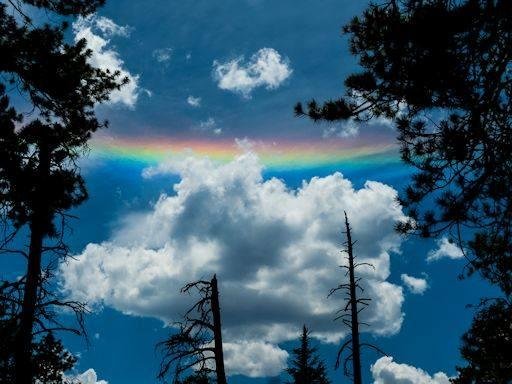 WHEN IS A RAINBOW NOT A RAINBOW? At this time of year, a colorful arc often appears in the noontime sky. It looks like a rainbow, but it's not. "I saw one on June 23rd while I was walking through forest near Flagstaff, Ariz