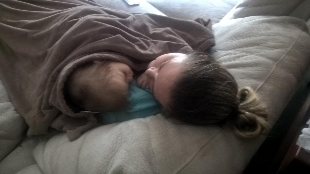 How to take a nap.