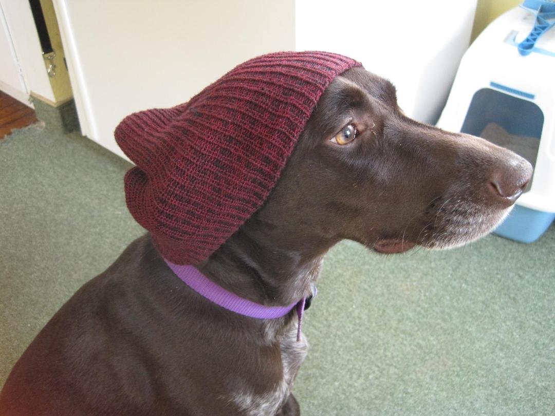 Rasta Sasha is enjoying Earth Day! Don't be against de 'erb mahn! Or as she would actually say, "Huh?"