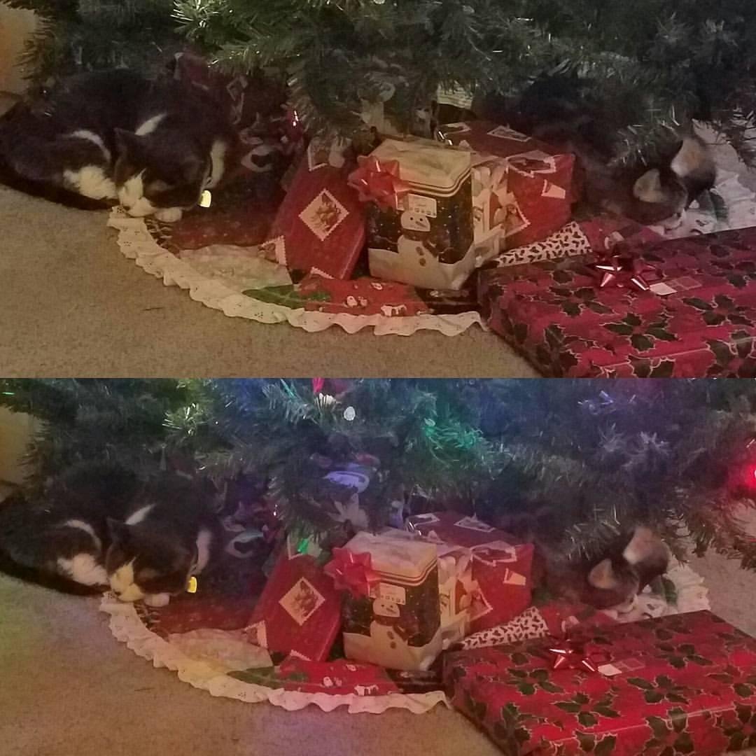 My 2 little girls for Christmas! So sweet