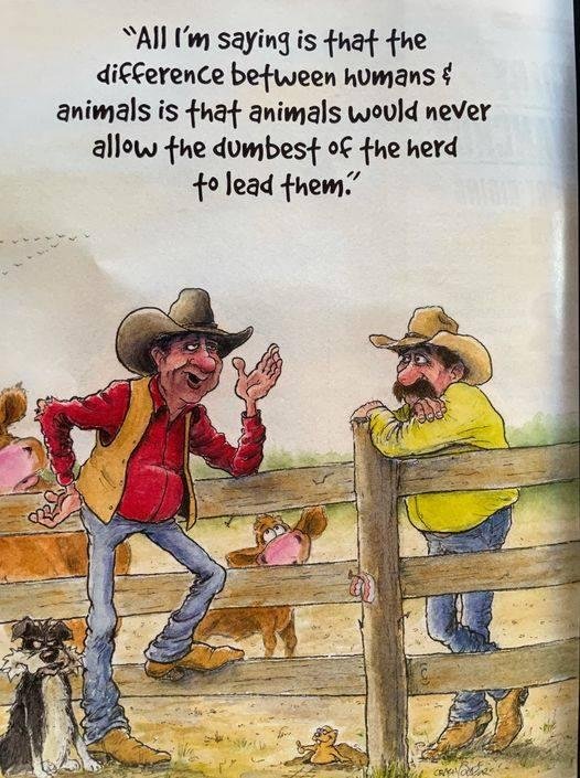 Dave Acus' album, Timeline photos