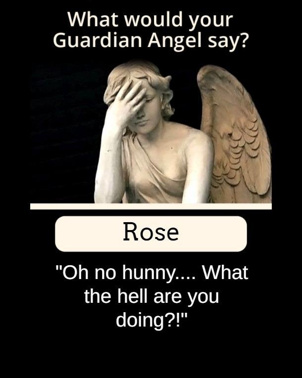 Rose Taylor's album, Timeline photos