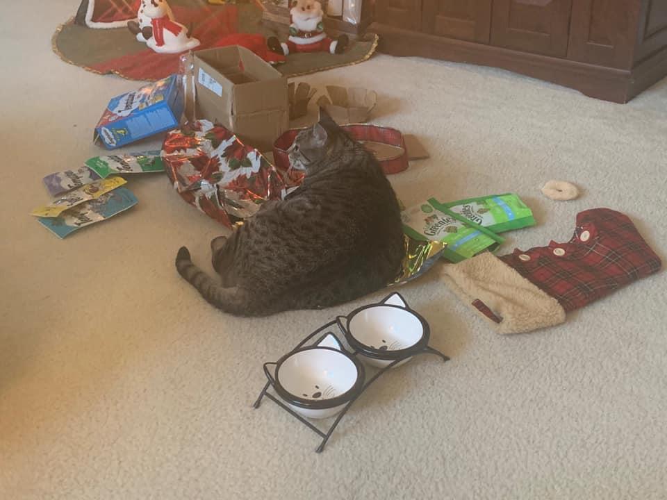 Jenny LOVES Christmas morning!