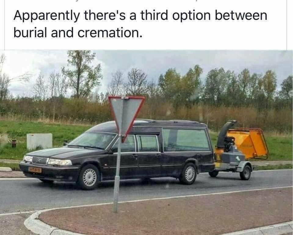 WHAT'S YOUR TAKE ON THIS PIX?