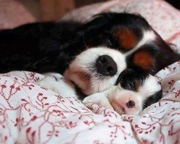 Charles Frodermann's album, Timeline Photos